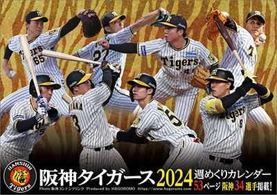 卓上 阪神タイガース週めくり カレンダー 2024